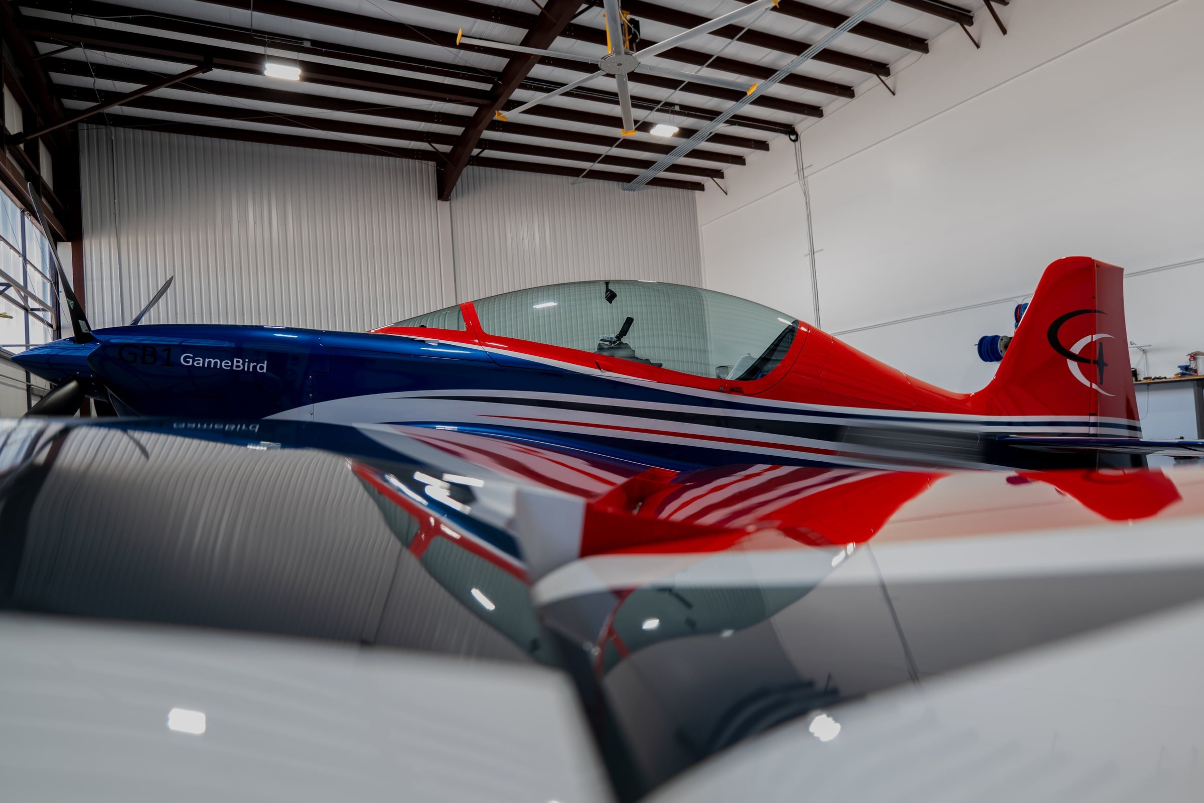 GameBird GB1 reflected in a polished wing
